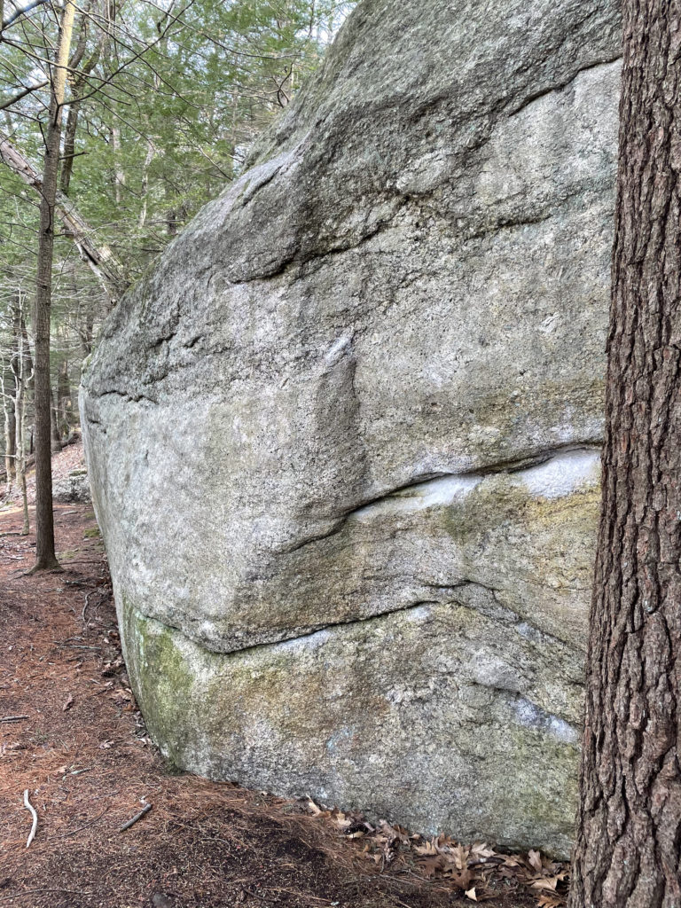 A boulder in the woods at the South Freeport Boulders