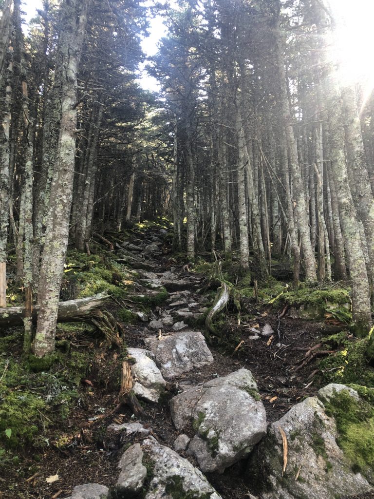 The Imp Trail leading up, seen while hiking the Carter range in the White Mountains, New Hampshire