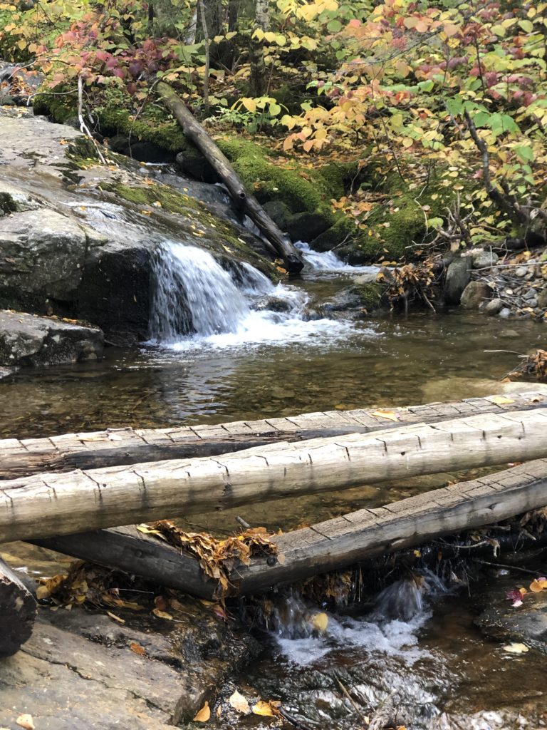 A mountain stream seen while hiking the Carter range in the White Mountains, New Hampshire