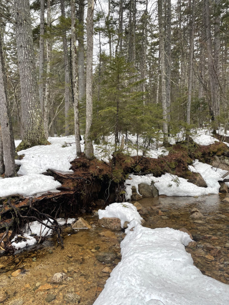 A winter brook, seen while hiking East Osceola in the White Mountains, New Hampshire