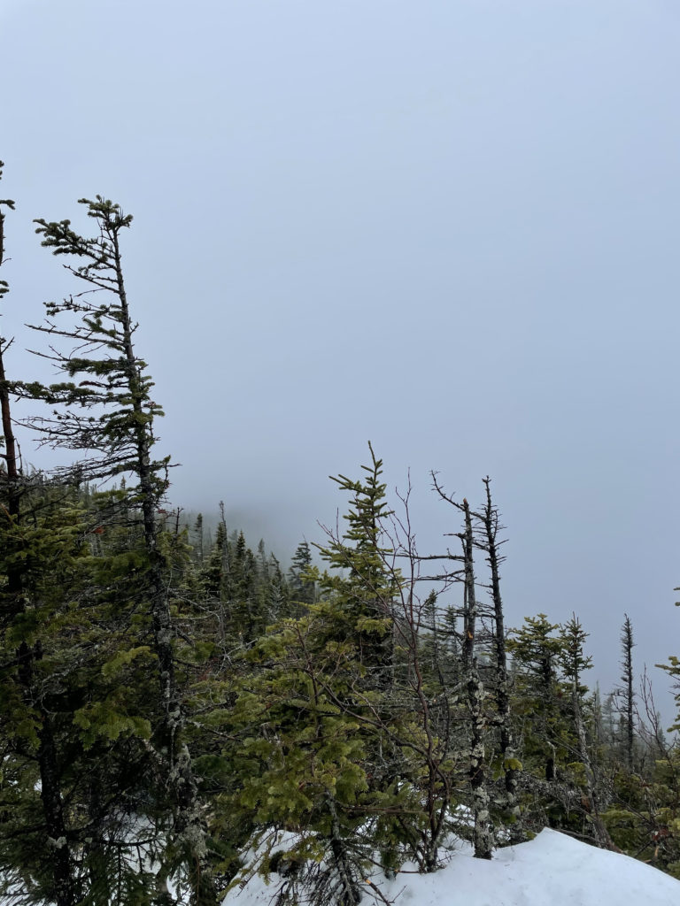 Mist over the trees, seen while hiking East Osceola in the White Mountains, New Hampshire