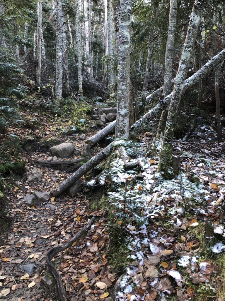 Early snow on Edmands Path, seen while hiking Mt Eisenhower in the White Mountains, New Hampshire