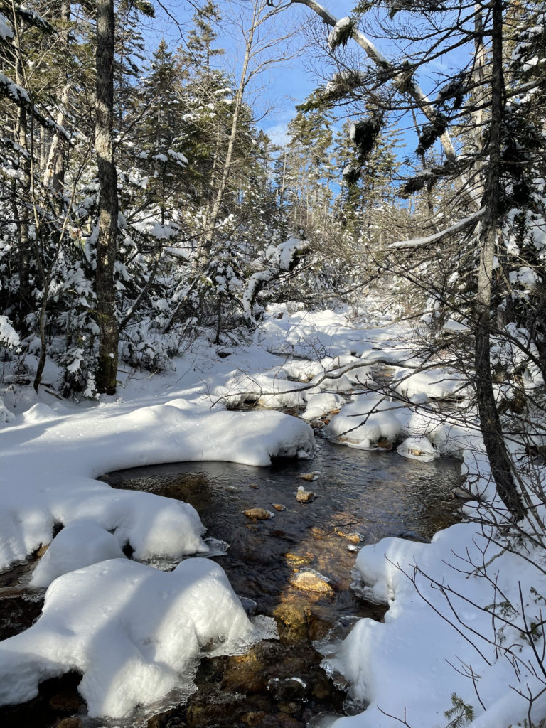 A winter brook, seen while hiking Mt. Hancock in the White Mountains, New Hampshire