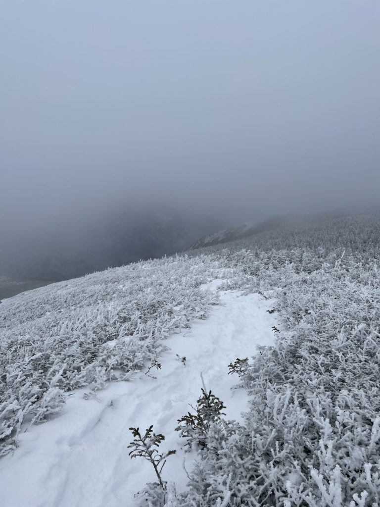 A bleak, snowy trail seen while hiking Mt. Isolation in the White Mountains, New Hampshire