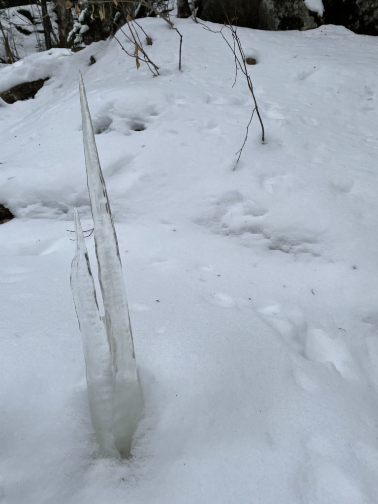 A fallen icicle, seen while hiking Mt. Isolation in the White Mountains, New Hampshire