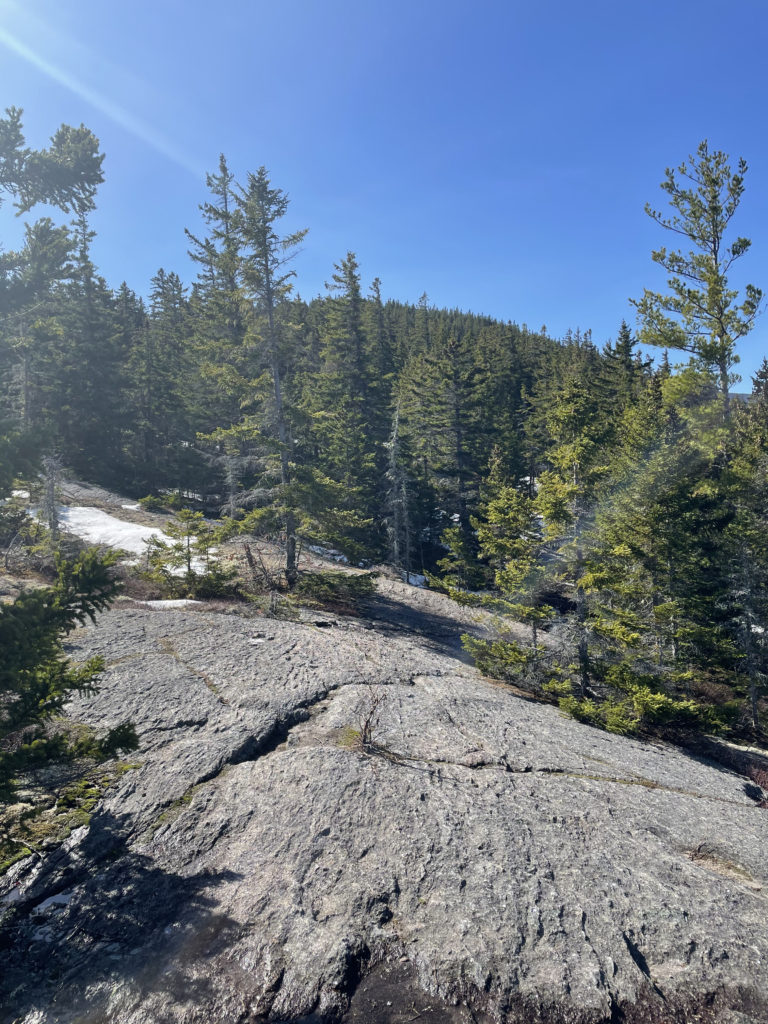 Rock ledges, seen while hiking Mt. Moriah in the White Mountains, NH