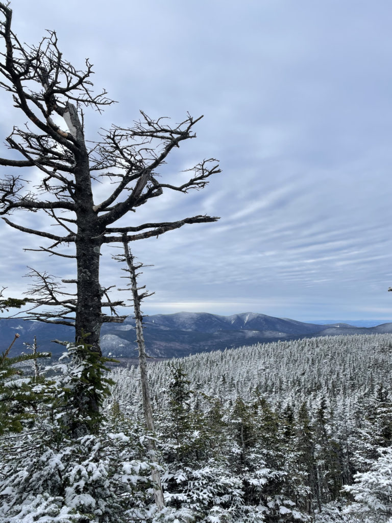 A view seen while hiking Mt. Tom, Mt. Willey, and Mt. Field in the White Mountains, New Hampshire