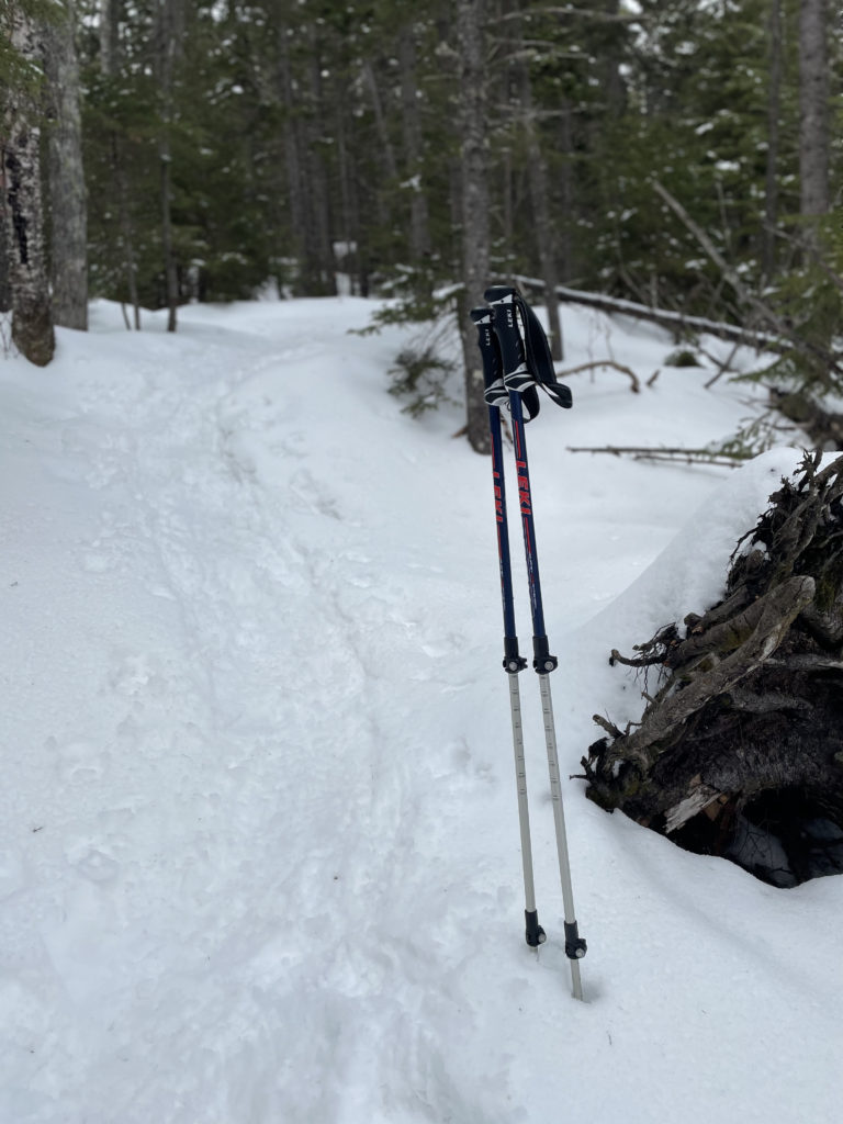 Leki trekking poles in the snow, seen while hiking Mt. Whiteface in the White Mountains, New Hampshire