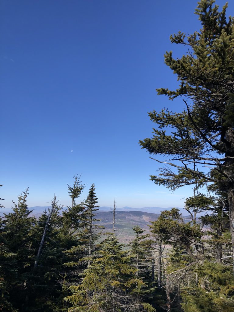 A view seen while hiking Old Speck in Grafton Notch State Park, Maine