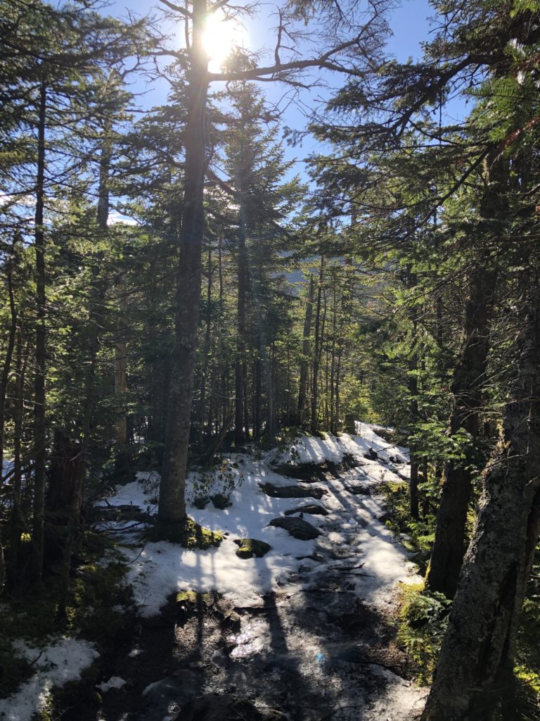 A snowy trail seen while hiking Old Speck in Grafton Notch State Park, Maine