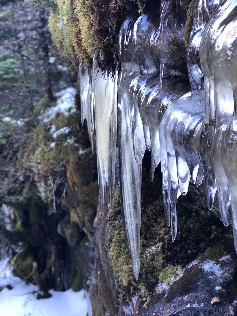 Icicles on a ledge seen while hiking Old Speck in Grafton Notch State Park, Maine
