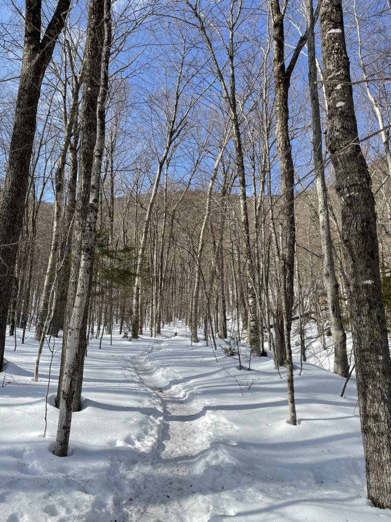 A trail through the snow and trees, seen while hiking North and Middle Tripyramid Mts. in the White Mountains, New Hampshire