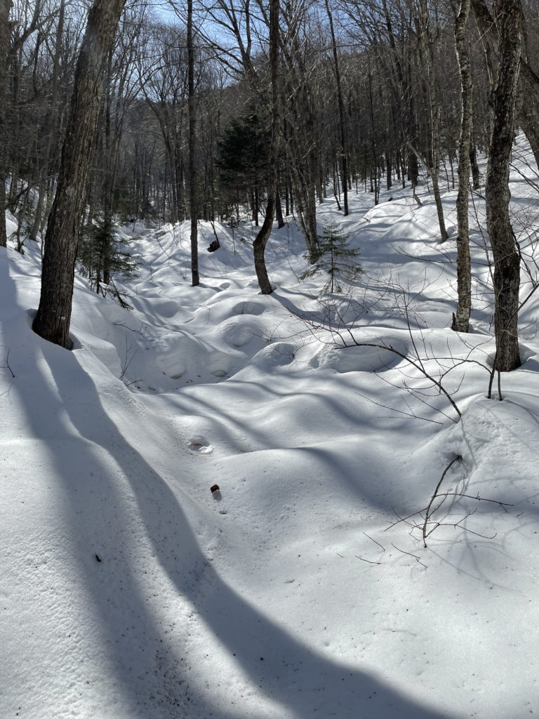 Mounds of snow in the woods, seen while hiking North and Middle Tripyramid Mts. in the White Mountains, New Hampshire