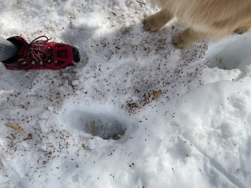 A posthole in the snow, seen while hiking North and Middle Tripyramid Mts. in the White Mountains, New Hampshire