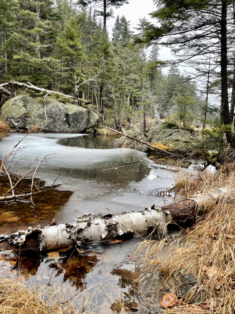 A frozen bog seen while hiking Wildcat Mtn in the White Mountains, New Hampshire