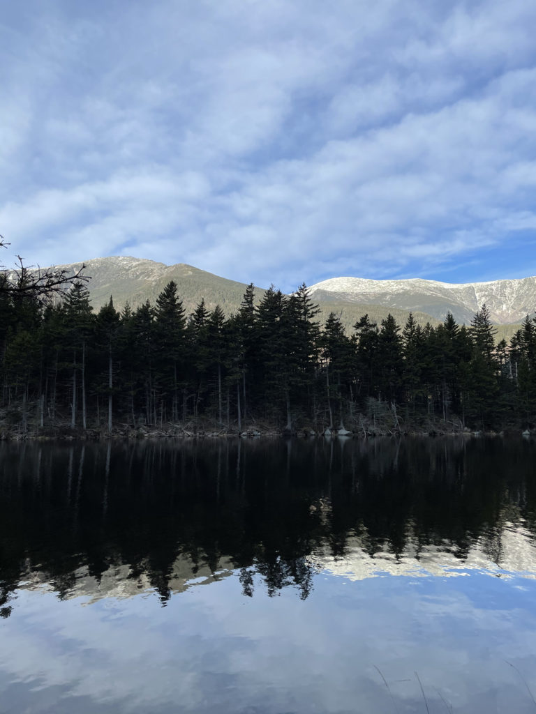 A reflection in a pond, seen while hiking Wildcat Mountain ridge, White Mountains, New Hampshire