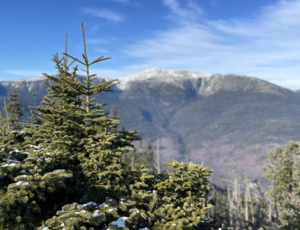 A view of Mt. Washington, seen while hiking Wildcat Mountain ridge, White Mountains, New Hampshire