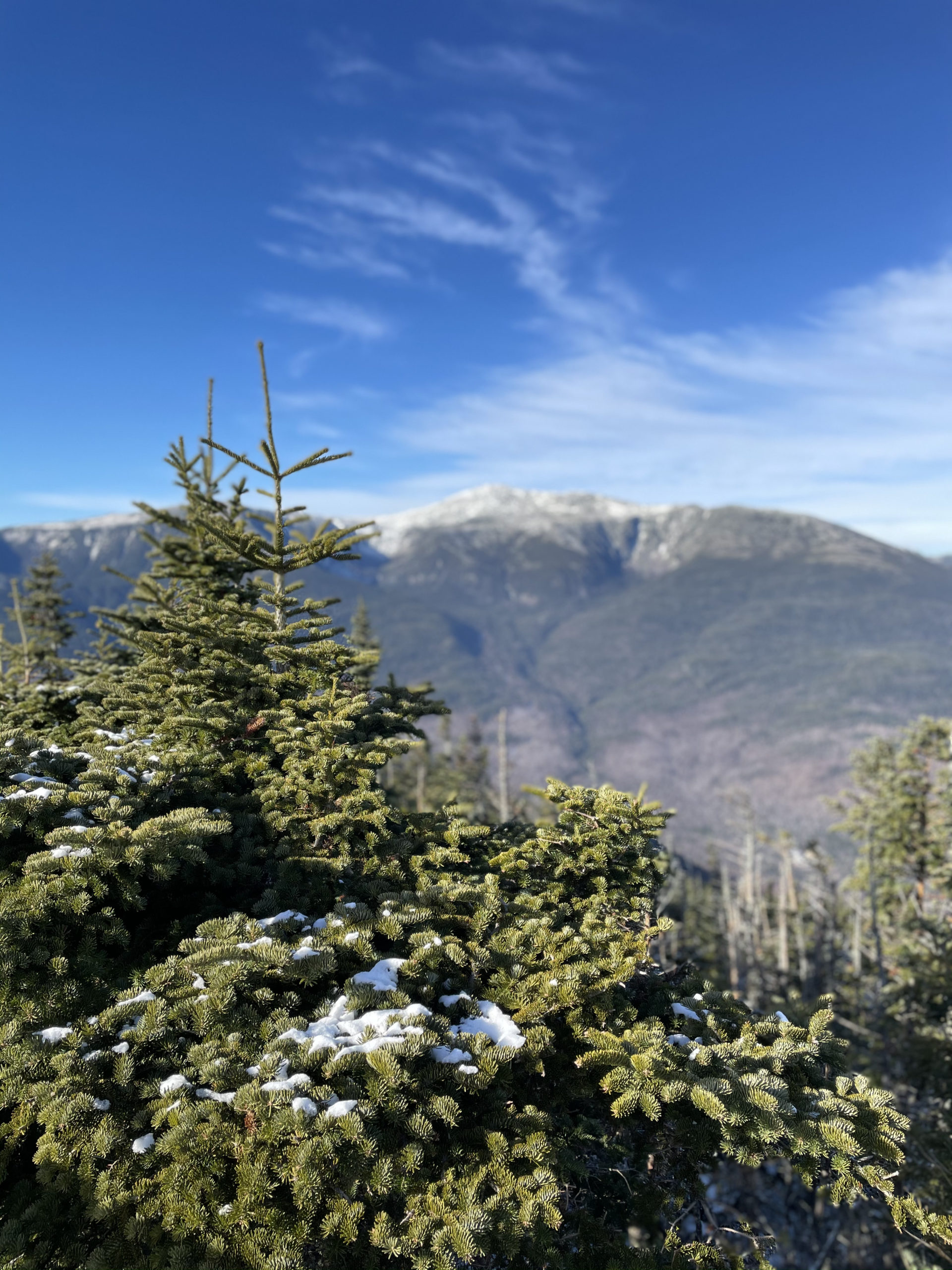 Wildcat Ridge Wildcat Ridge | 4422 ft | NH - She Hikes Mountains