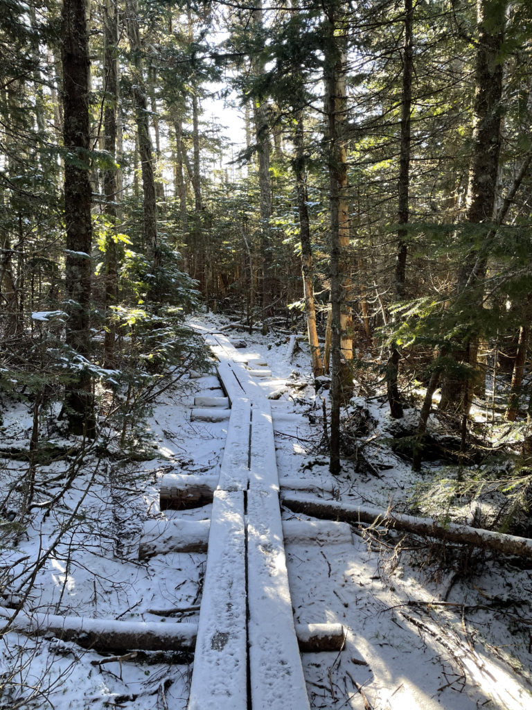 Wooden planks over the snowy trail seen while hiking Wildcat Mountain ridge, White Mountains, New Hampshire