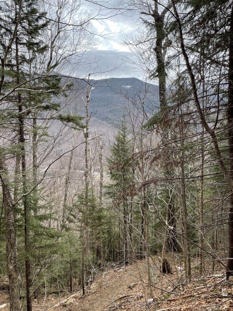 A view seen while hiking Cannon Mountain in the White Mountain National Forest in New Hampshire