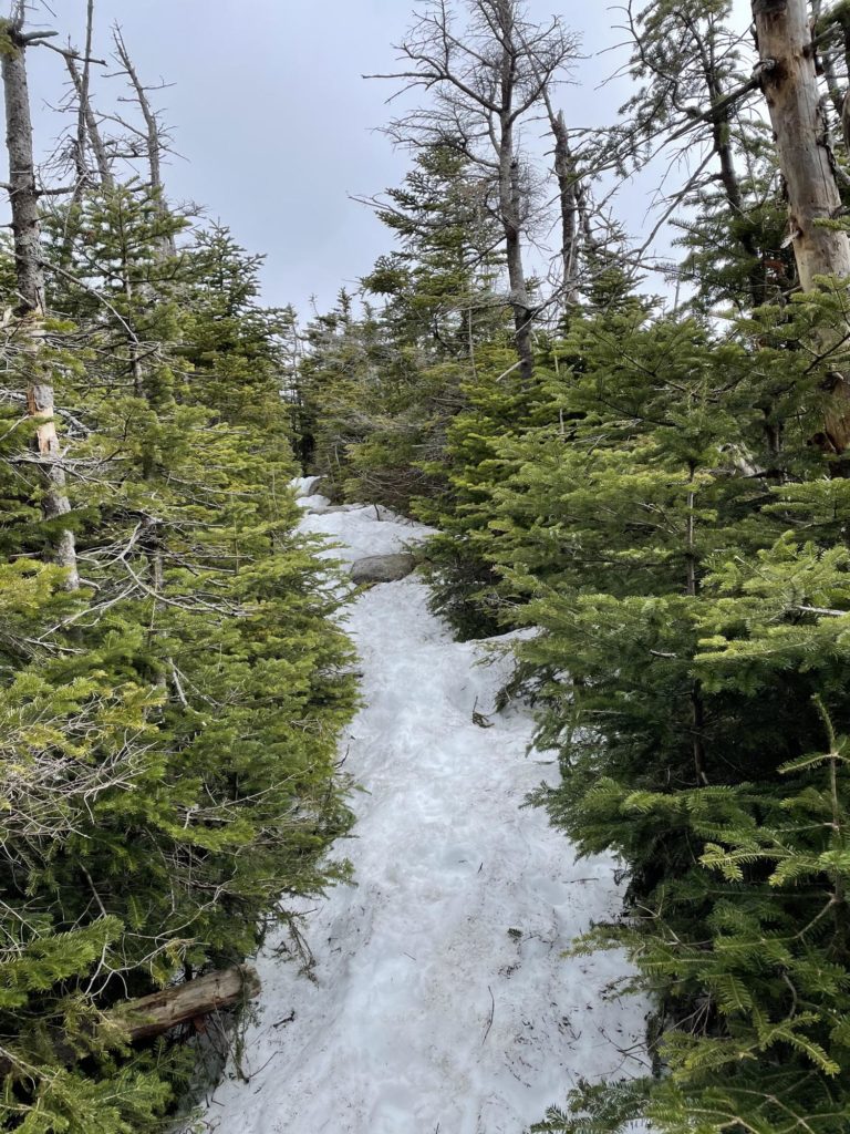 The snowy trail, seen while hiking Cannon Mountain in the White Mountain National Forest in New Hampshire