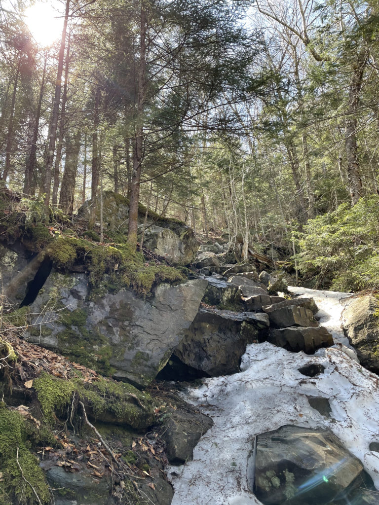 Sun through the trees on Beaver Brook Trail, seen while hiking Mt. Moosilauke in the White Mountains, NH