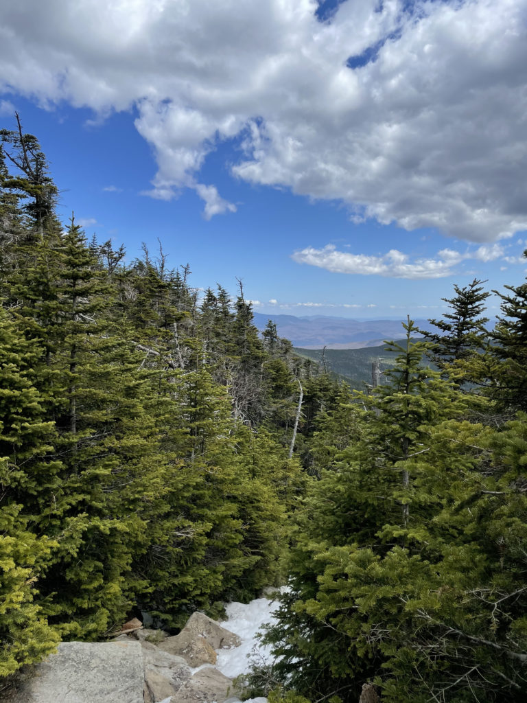 A view over the trees, seen while hiking Mt. Moosilauke in the White Mountains, NH