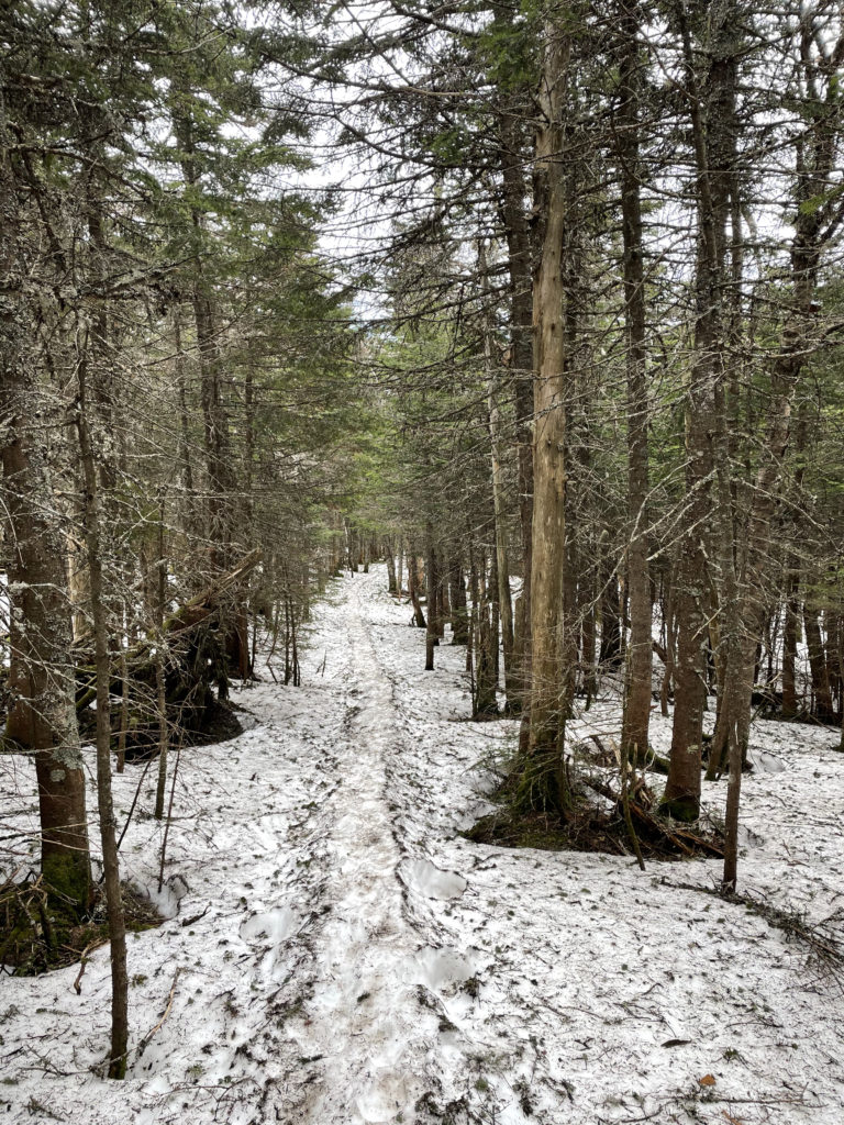 The snowy Beaver Brook Trail, seen while hiking Mt. Moosilauke in the White Mountains, NH