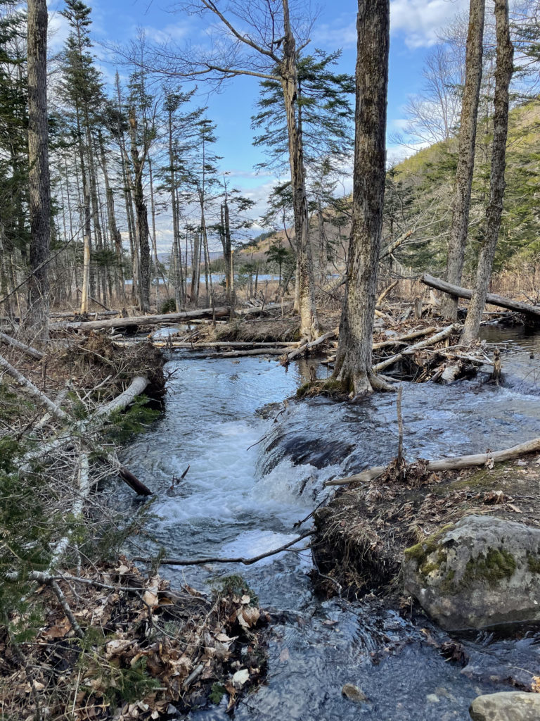 Beaver Pond, seen while hiking Mt. Moosilauke in the White Mountains, NH