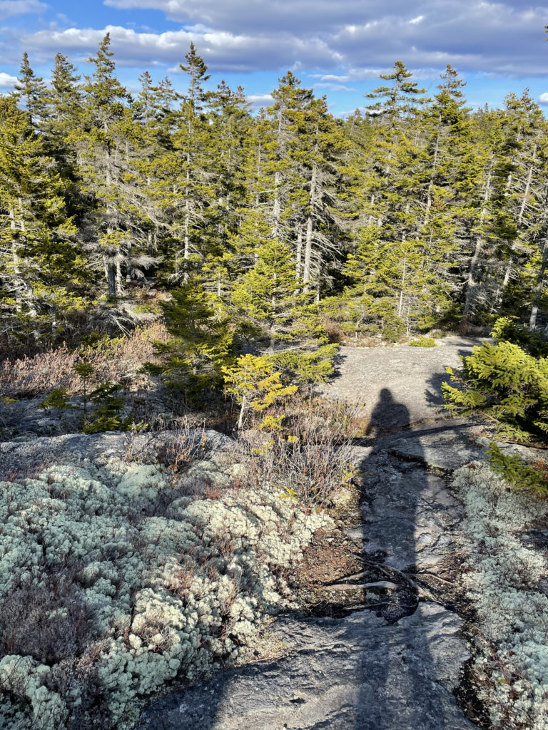 A person's shadow on the trail seen while hiking and backpacking the Grafton Notch Loop Trail in the White Mountains, Maine
