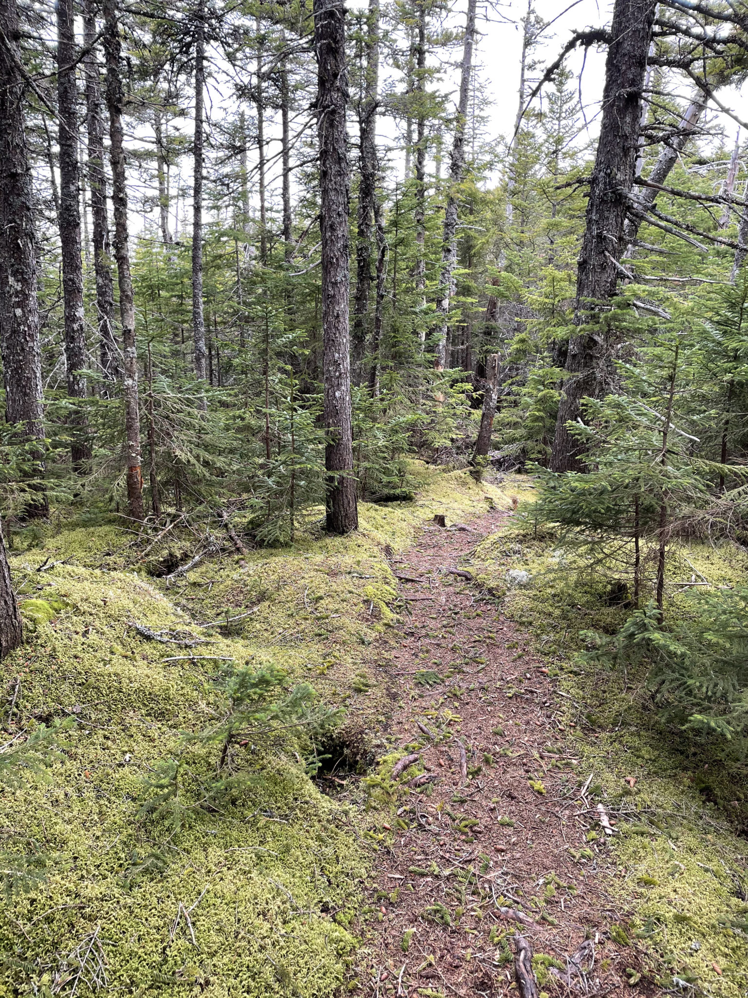 Grafton Notch Loop | 40 miles | ME - She Hikes Mountains