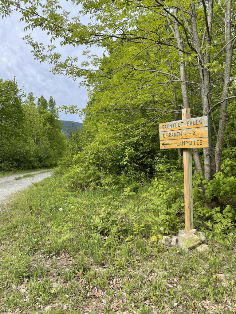 Signs pointing to the campsites at Gauntlet Falls in the KI Jo-Mary Forest, North Maine Woods