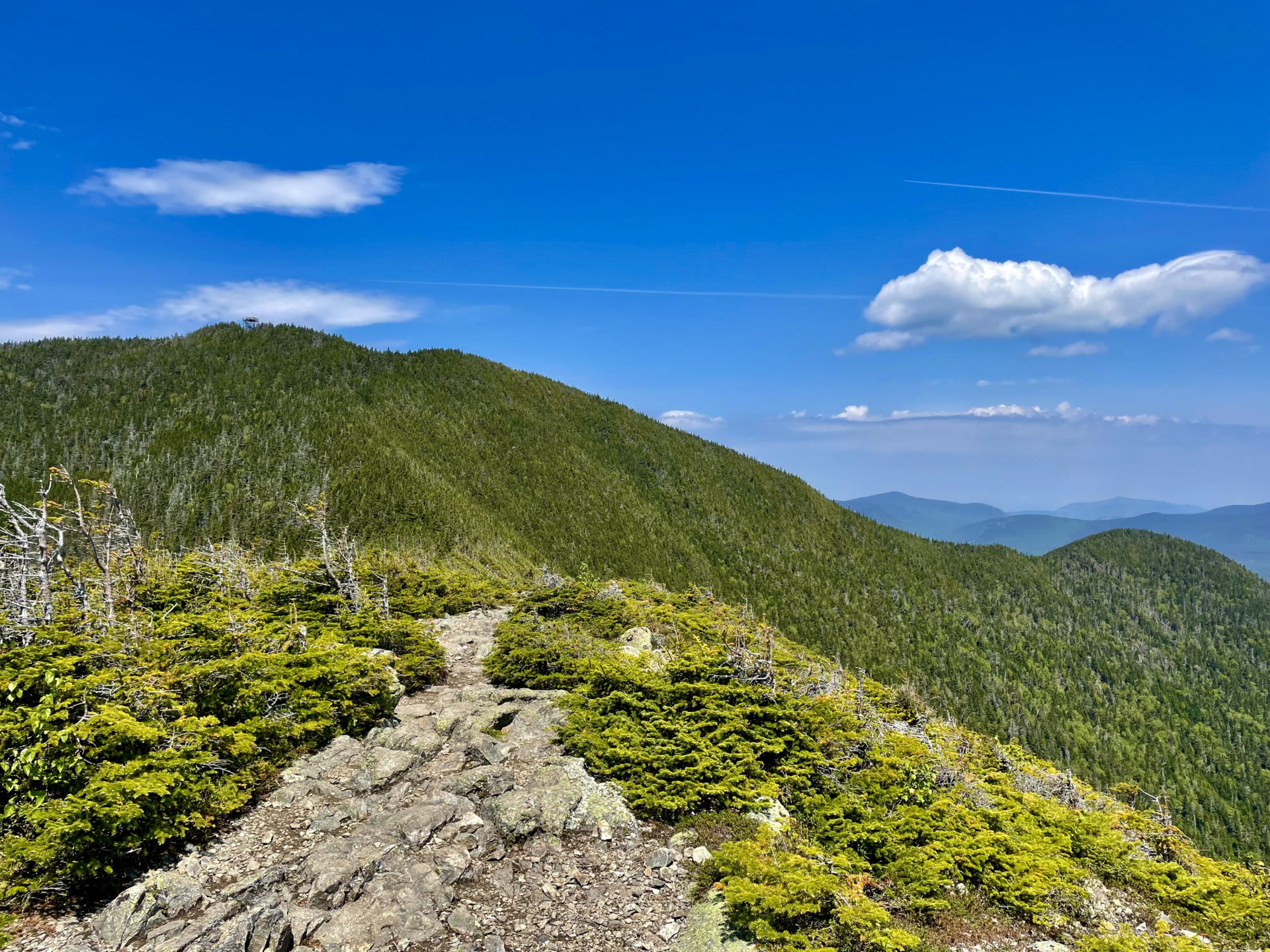 Mt. Carrigain | 4700 ft | NH - She Hikes Mountains