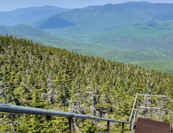 Stairs leading down from the observation tower, seen while hiking Mt. Carrigain in the White Mountains, New Hampshire
