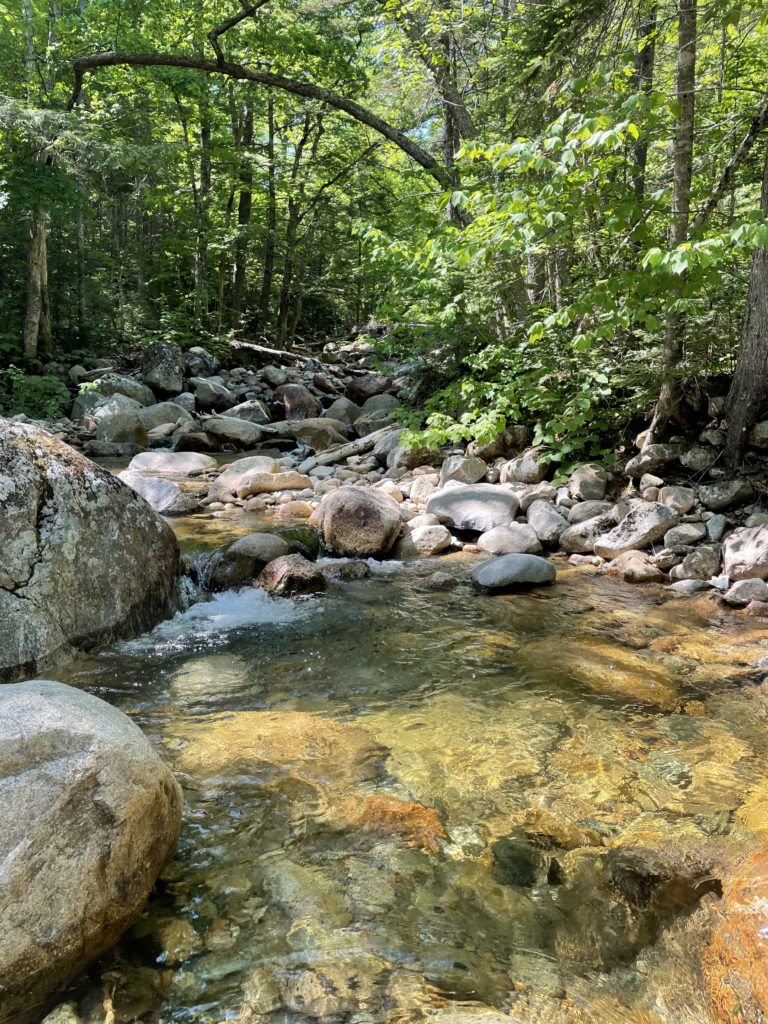 A stream in the woods, seen while hiking Mt. Carrigain in the White Mountains, New Hampshire