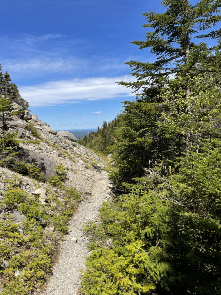 A narrow trail, seen while hiking North Brother in Baxter State Park, Maine