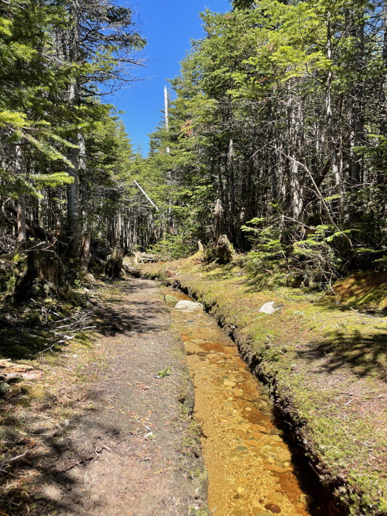 Hiking in a stream bed, seen while hiking North Brother in Baxter State Park, Maine