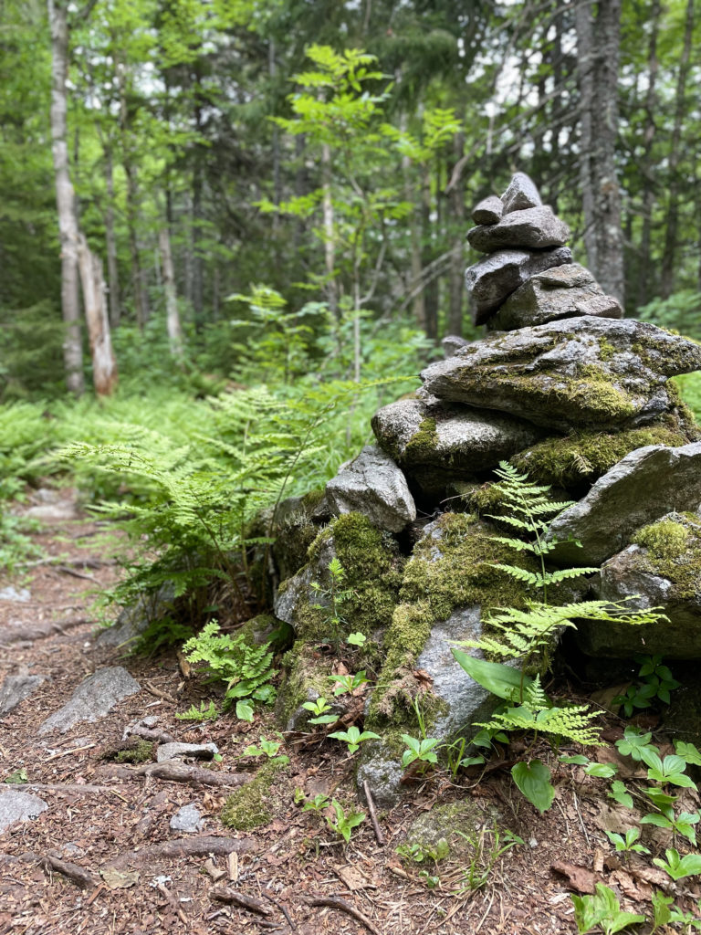 A cairn and ferns, seen while hiking Mt. Tecumseh in the White Mountains, NH