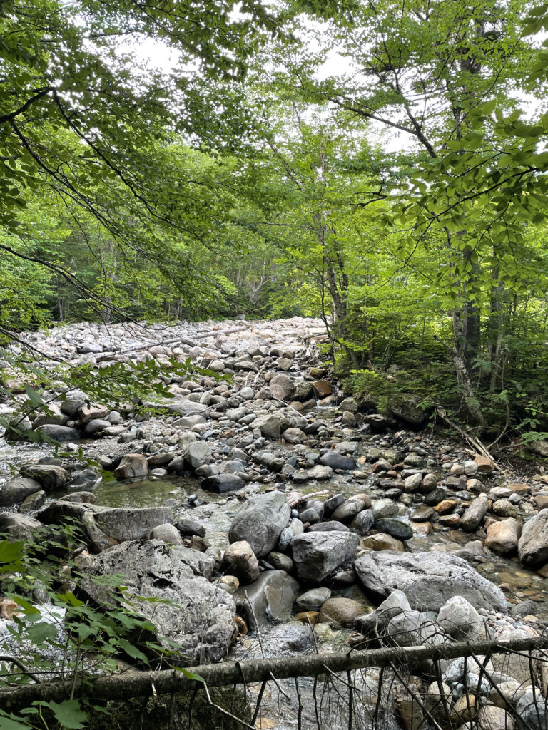 A rocky stream, seen while hiking Mts. Galehead, North Twin, and South Twin in the White Mountain National Forest, New Hampshire