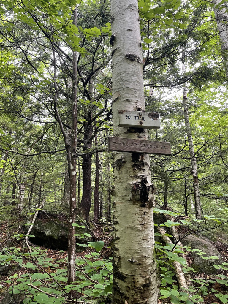 Trail signs seen while hiking Mt. Isolation in the White Mountain National Forest, New Hampshire