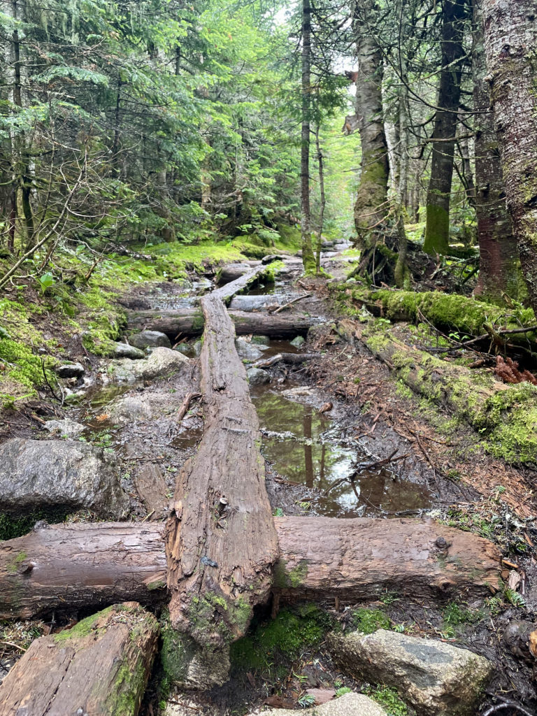 An old log bridge over a stream, seen while hiking Mt. Isolation in the White Mountain National Forest, New Hampshire