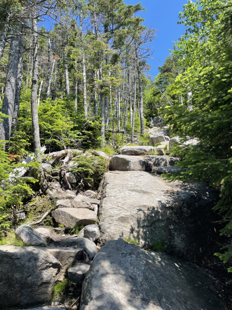Twinway, seen while hiking Mts. Galehead, North Twin, and South Twin in the White Mountain National Forest, New Hampshire
