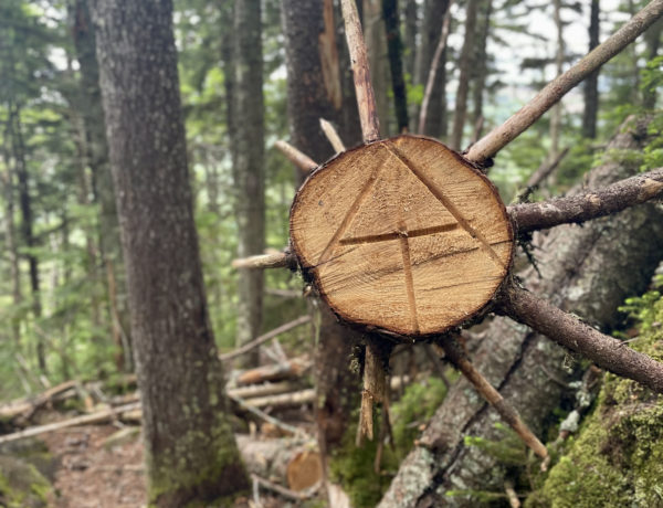 Carved AT sign, seen while hiking Saddleback and The Horn, Western Mountains, Maine