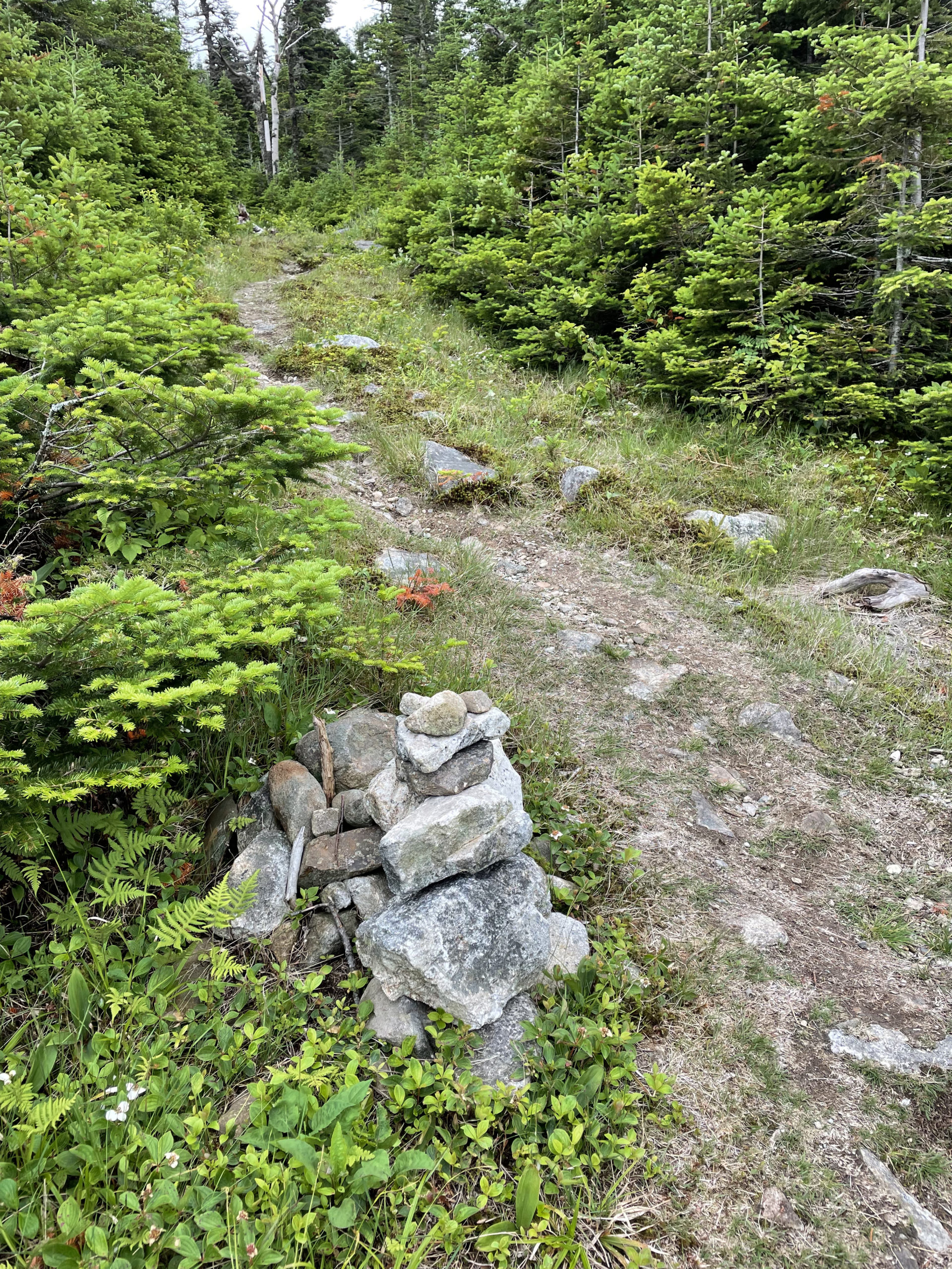 Trail cairn, seen while hiking Crocker and South Crocker Mountains and Mt Redington in the Western Maine Mountains