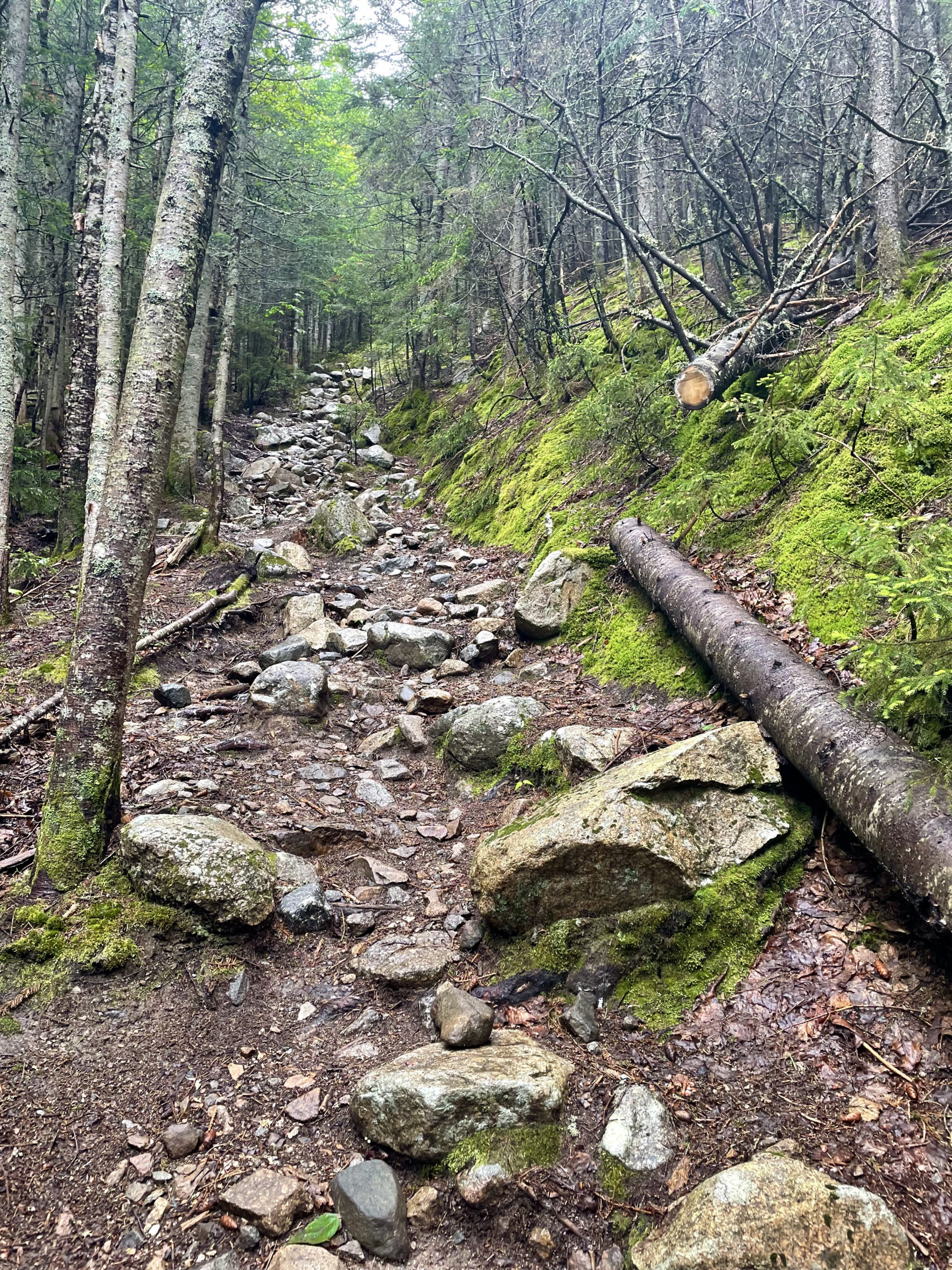 A rocky trail, seen while hiking Mt. Liberty and Mt. Flume on the Flume Slide Trail in the White Mountain National Forest, New Hampshire