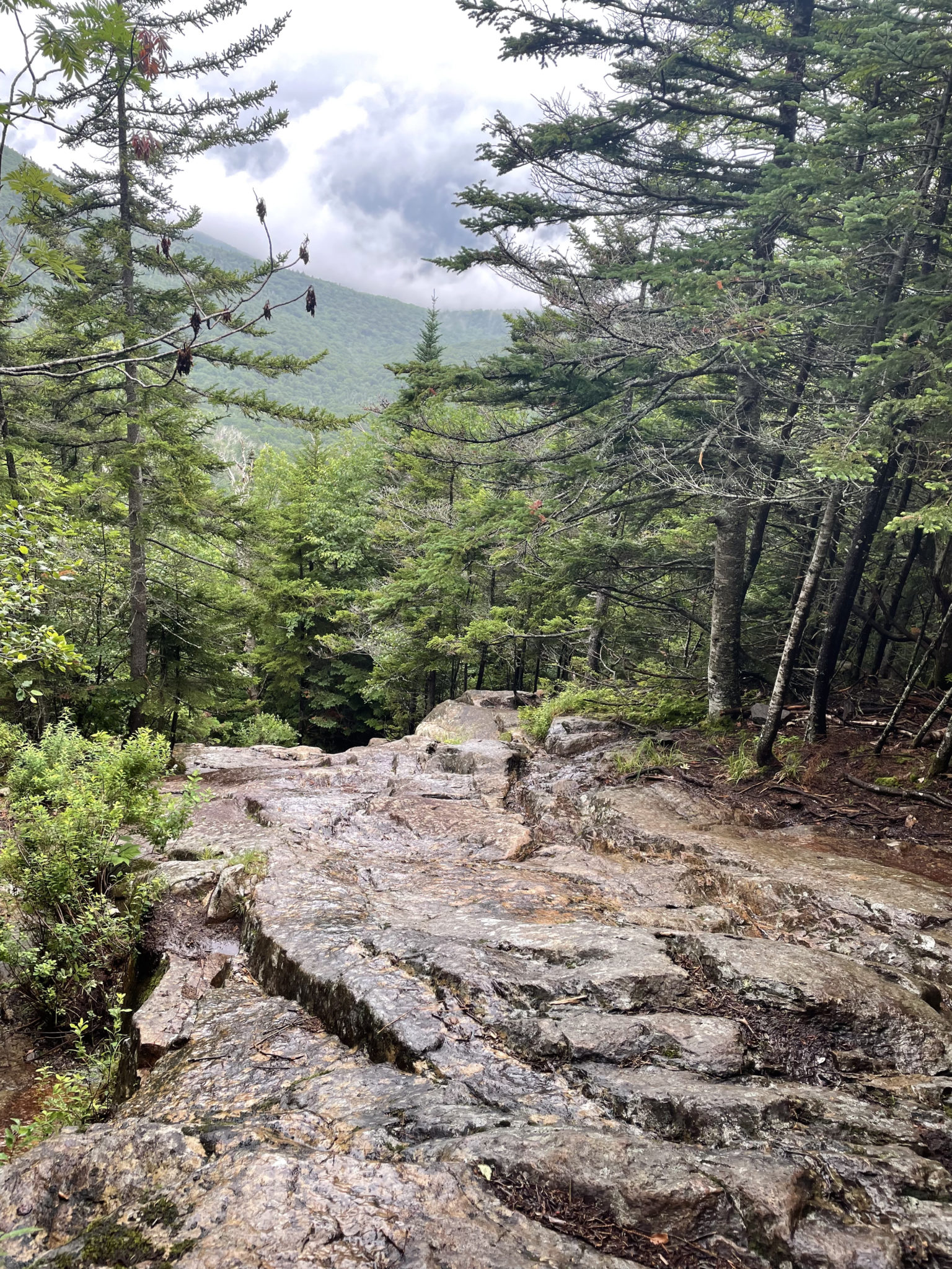 Mt. Liberty & Mt. Flume | 4459 ft | NH - She Hikes Mountains