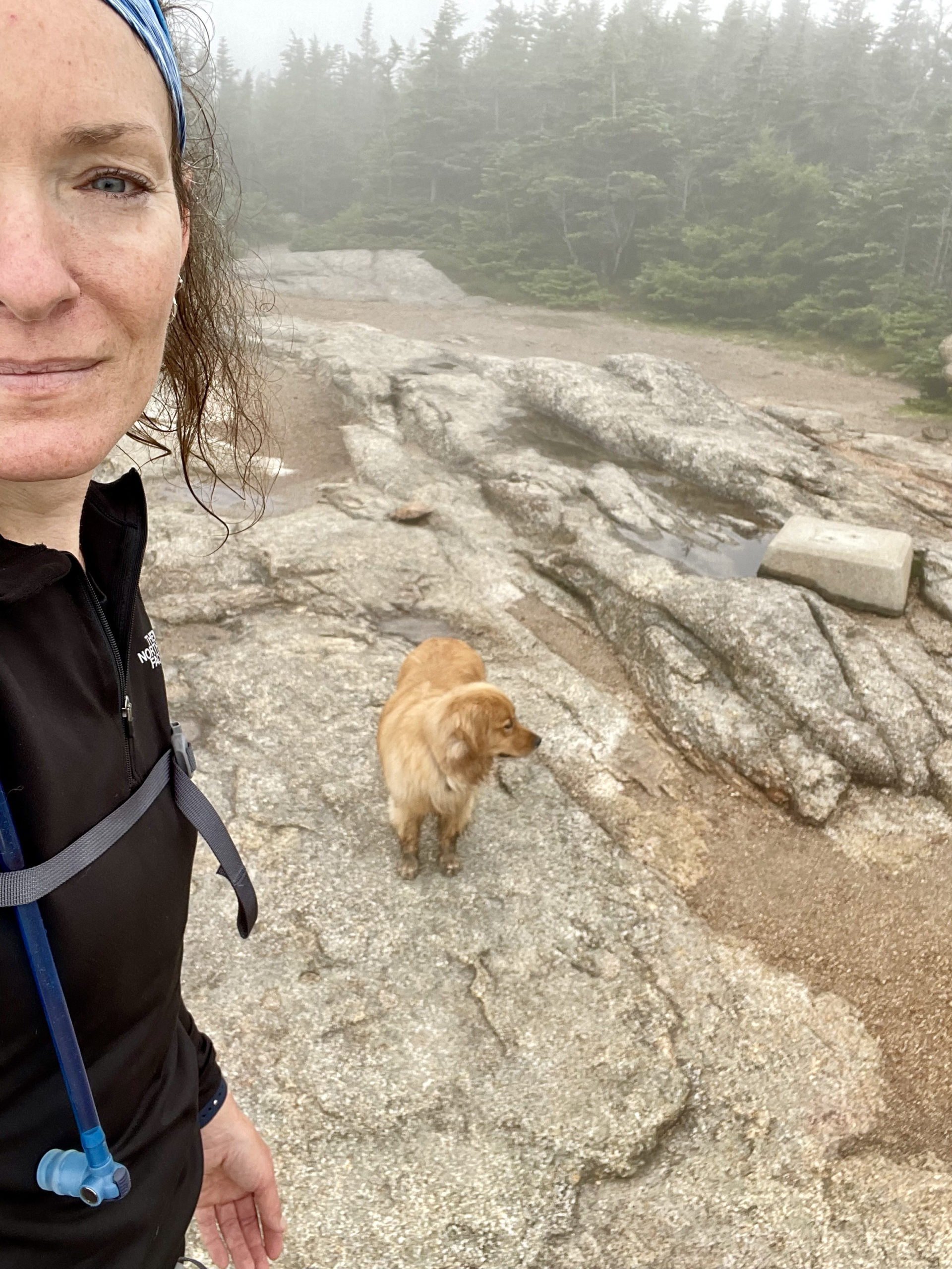 Hiker and dog at summit, hiking Mt. Osceola in the White Mountain National Forest, New Hampshire