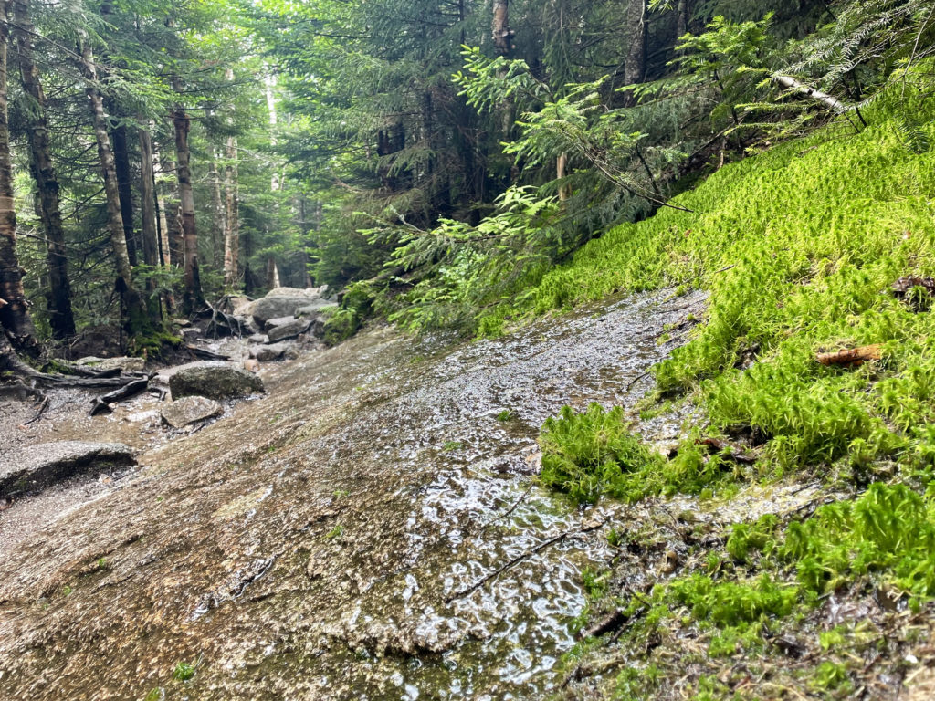 Sloped ledge on trail, hiking Mt. Osceola in the White Mountain National Forest, New Hampshire