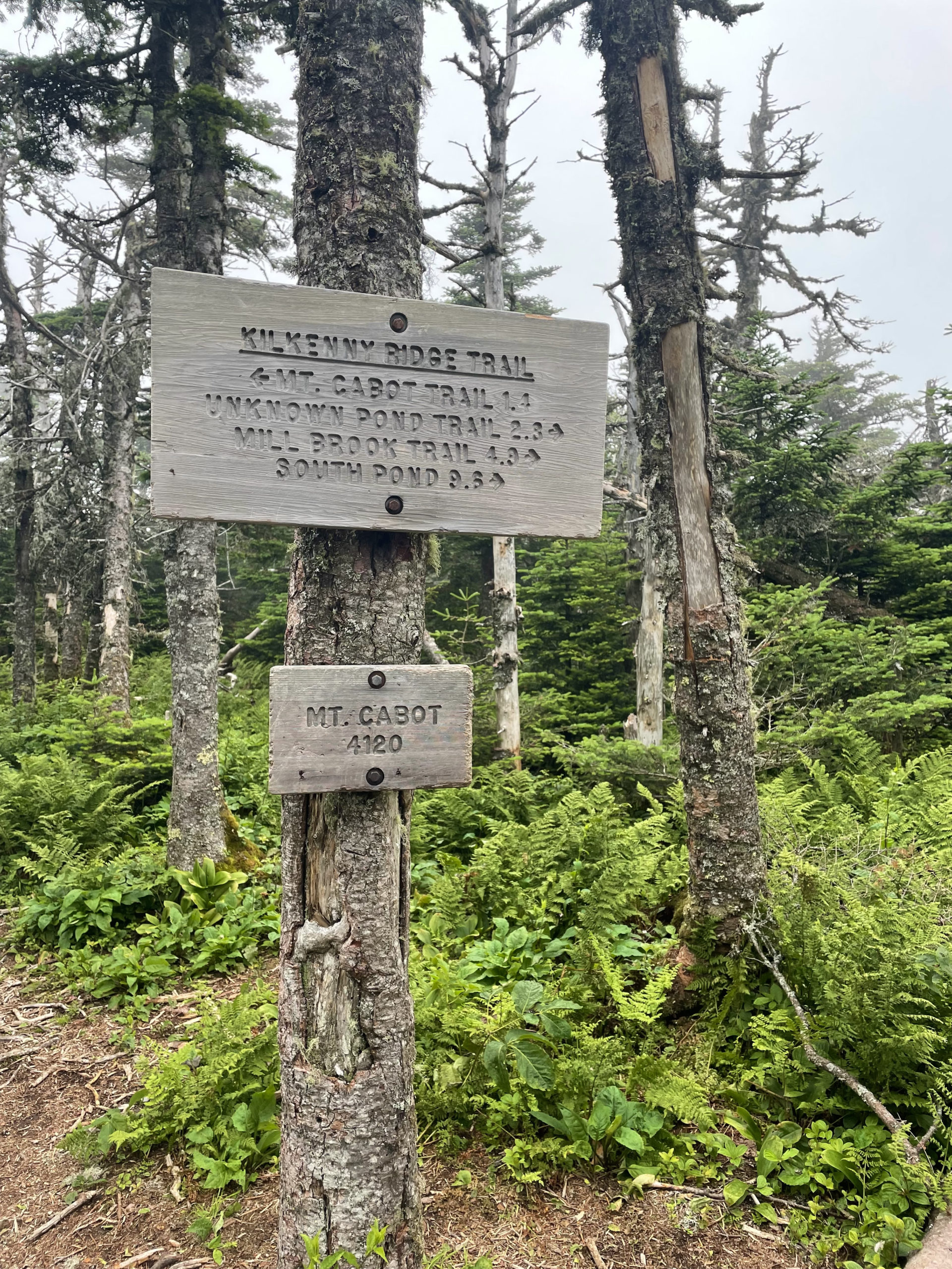 Trail sign, seen while hiking Mt. Waumbek and Mt. Cabot in the White Mountain National Forest, New Hampshire