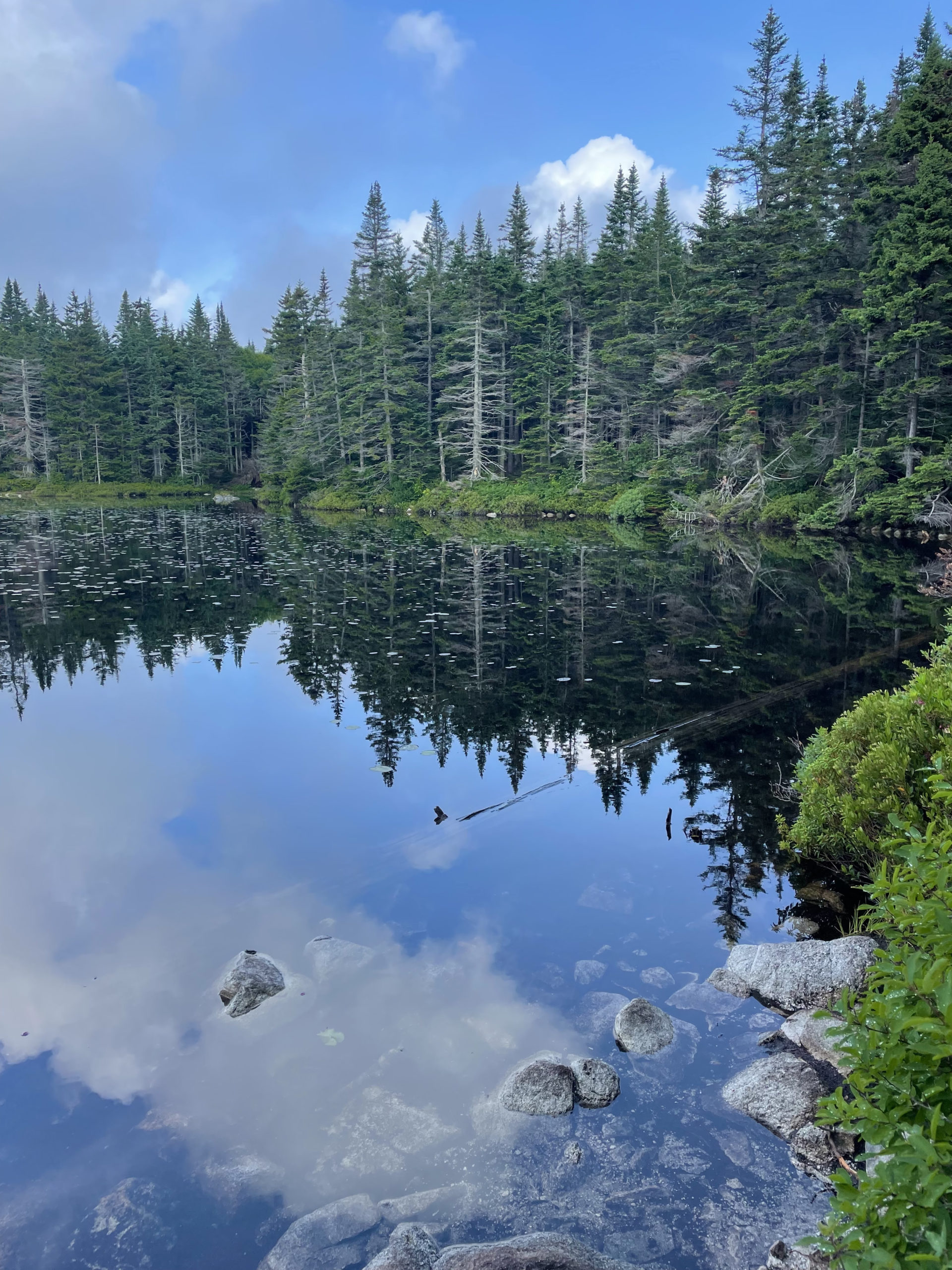 Unknown Pond, seen while hiking Mt. Waumbek and Mt. Cabot in the White Mountain National Forest, New Hampshire